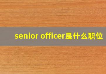 senior officer是什么职位